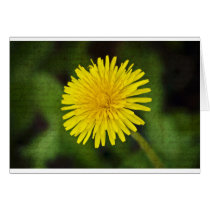 A Little Burst of Sunshine greeting card cards