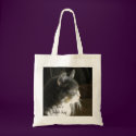 A Little Cat Nap Oil Painting Book Bag