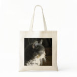 A Little Cat Nap Oil Painting Book Bag