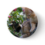 A Little Fuzz Therapy buttons