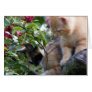A Little Fuzz Therapy Greeting Cards