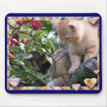 A Little Fuzz Therapy mousepads