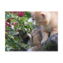 A Little Fuzz Therapy Postcard