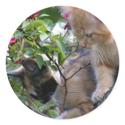 A Little Fuzz Therapy Sticker by CrazyCatLadies