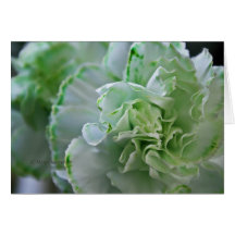 A Little Green in Us All Greeting Cards