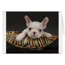 A little help here greeting cards