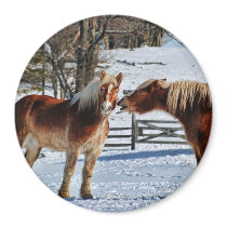 A Little Horse Talk Magnet