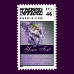 A little lilac