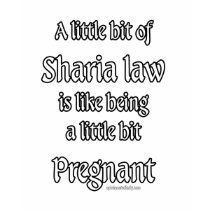 A little Sharia Law... t-shirts