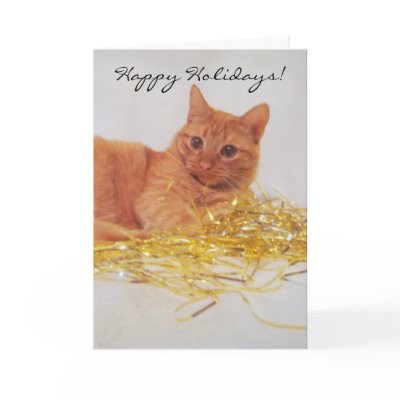 A Little Sparkle Cat Holiday Greeting Card