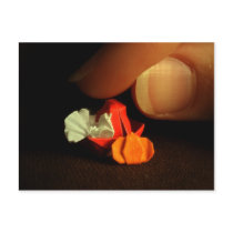A Little Thanksgiving postcards