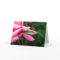 A Lizard on a Rose Greeting Card 01 by phantompanther A Lizard on a Rose Greeting Card 01