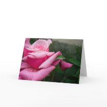 A Lizard on a Rose Greeting Card 02 by phantompanther A Lizard on a Rose Greeting Card 02