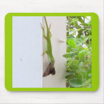 A Lizards Trophy mousepads by annienbart A Lizards Trophy mousepads