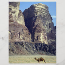 A lonely camel, Wadi Rum Desert, Jordan Desert Flyer Design