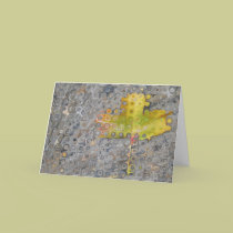 A lonely leaf cards
