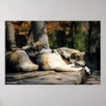 A Long Day Print