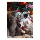A Long Winter's Nap Corgi Puppy Christmas Cards