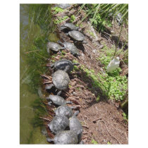 A lot of Turtles flyers by digitalshirts A lot of Turtles flyers