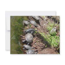 A lot of Turtles invitations by digitalshirts A lot of Turtles invitations