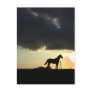 A lovely horse in the sunset post card
