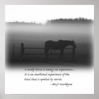 A Lovely Horse Poster by dtreasures