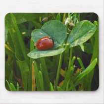 A-Lucky-St-Patricks-Day mousepads
