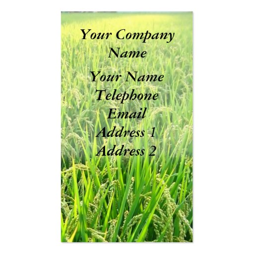 A Lush Green Rice Field with Ripe Ears of Rice Business Card Templates