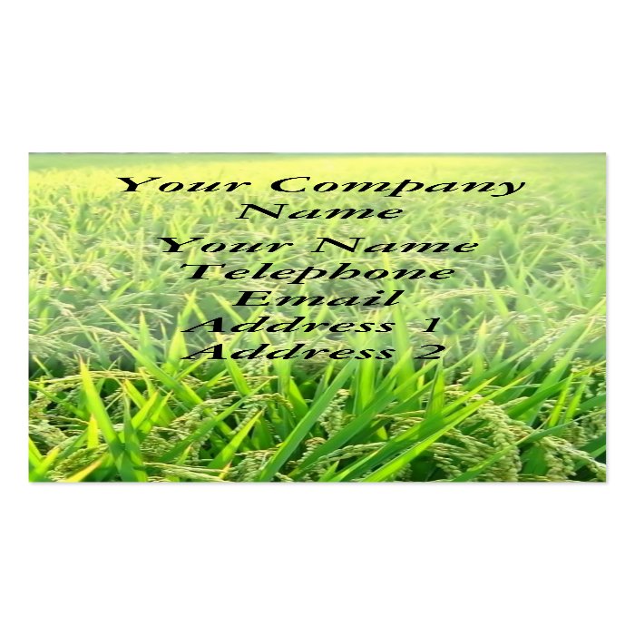 Rice Business Card Template field with ripe ears of rice business card templates Rice Business Card Template field with ripe ears of rice business card templates