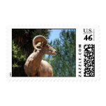 A MAJESTIC ANIMAL... postage