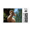 A MAJESTIC ANIMAL... postage by hunterseeker4 A MAJESTIC ANIMAL... postage
