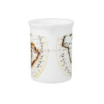 A Map of the World  Amy Baldwin sc Drink Pitcher