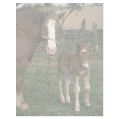 A mare and her foal, France Letterhead by lolanimals
