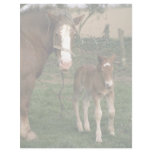 A mare and her foal, France Letterhead