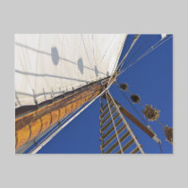 A Mast Of Perspective postcards