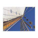 A Mast Of Perspective