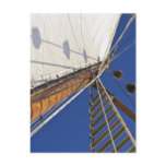 A Mast Of Perspective