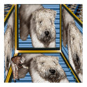 "A Matter of Perspective" Wheaten Terrier Print by Aquavel "A Matter of Perspective" Wheaten Terrier Print