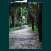 A Mayan Path cards