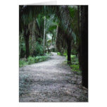 A Mayan Path Cards
