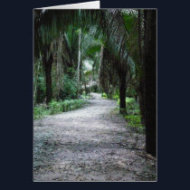 A Mayan Path cards by iggymak A Mayan Path cards