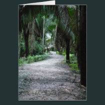 A Mayan Path cards