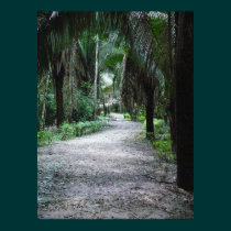 A Mayan Path posters