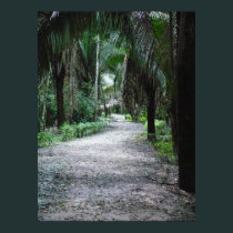 A Mayan Path posters