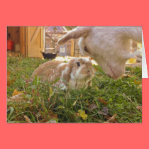 A Meeting of the Minds Greeting Card cards