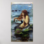 A Mermaid (study) Canvas Print