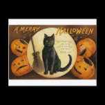 A Merry Halloween Cat Card Postcard