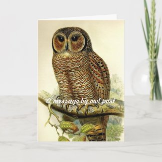 A message by owl post greeting card card