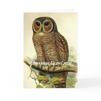 A message by owl post greeting card card