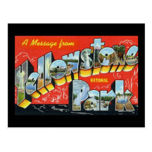 A Message from Yellowstone National Park Post Card